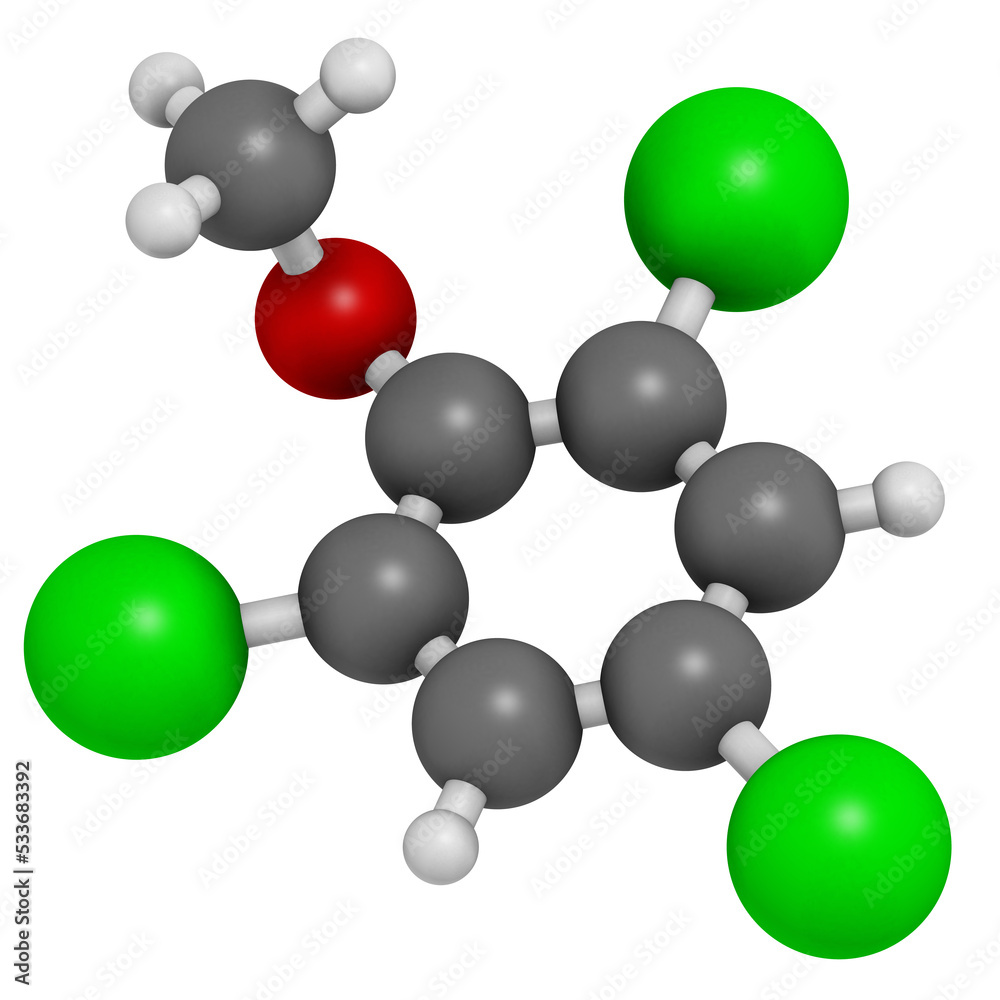 Trichloroanisole (TCA) cork taint molecule. Produced by fungi and bacteria, responsible for cork taint in bottled wine. Trichloroanisole (TCA) cork taint molecule. Produced by fungi and bacteria, responsible for cork taint in bottled wine.