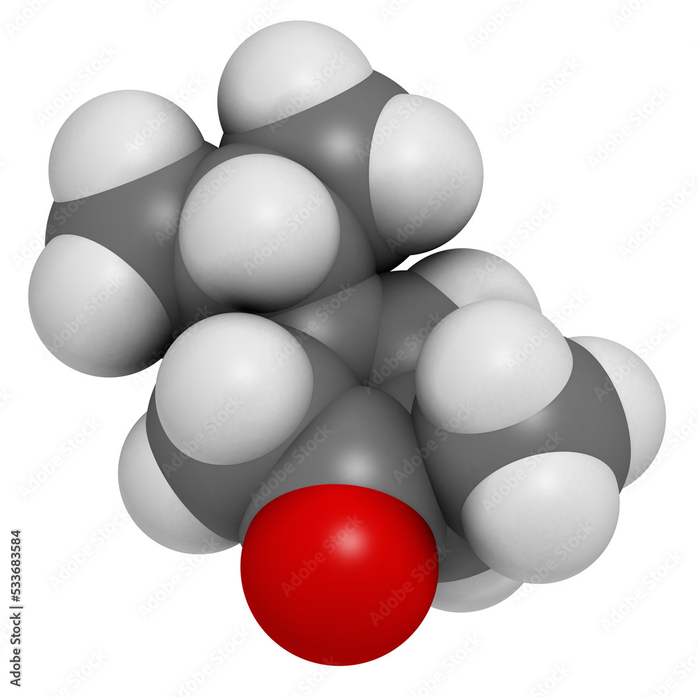 Thujone absinthe molecule, chemical structure. Thujone absinthe molecule, chemical structure.