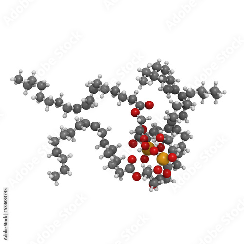 Cardiolipin (tetraoleoylcardiolipin) mitochondrial membrane lipid, molecular model