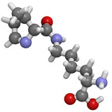 Pyrrolysine (Pyl, O) molecule.