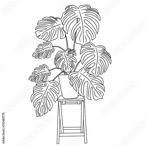 ornamental plant pictures for coloring book.