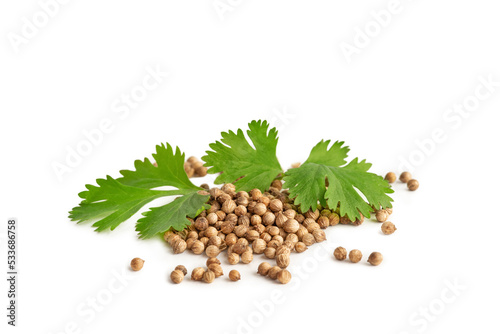 Coriander seeds with greenery leaves on a white isolated background