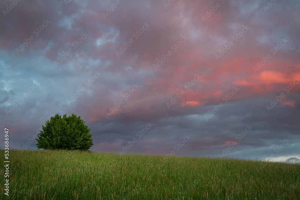 Landscape autumn sunset or sundown field with colourful clouds, autumn Poland, Europe and amazing blue sky with clouds Landscape autumn sunset or sundown field with colourful clouds, autumn Poland, Europe and amazing blue sky with clouds