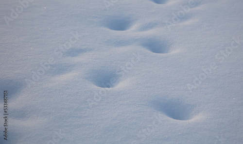 White fluffy snow on the ground as a background.