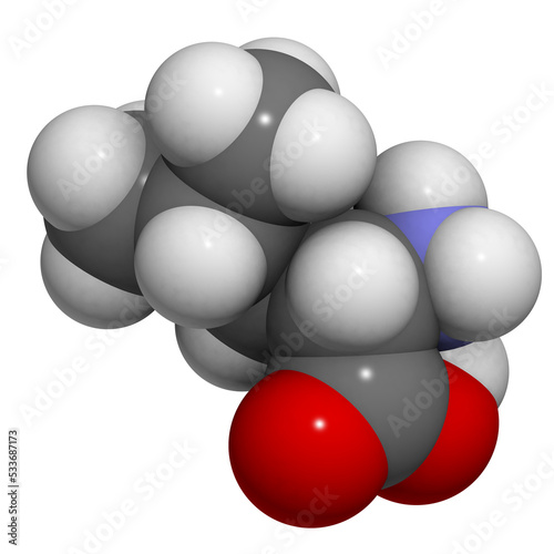 Leucine  Leu  L  molecule