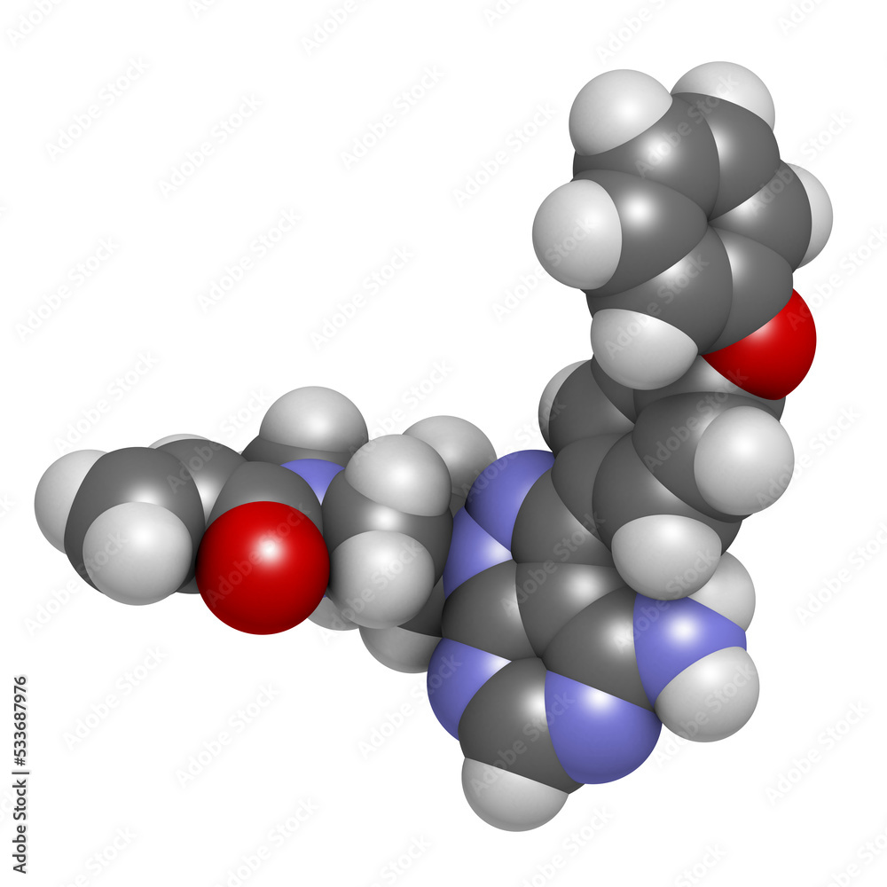 Ibrutinib cancer drug molecule. Used in treatment of mantle cell lymphoma and chronic lymphocytic leukemia (CLL). Ibrutinib cancer drug molecule. Used in treatment of mantle cell lymphoma and chronic lymphocytic leukemia (CLL).