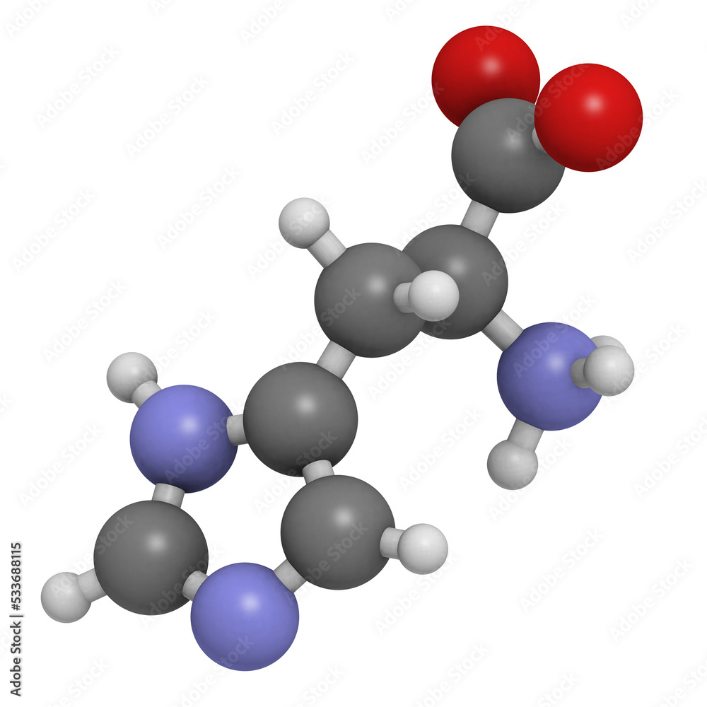 Histidine (His, H) amino acid, molecular model. Histidine (His, H) amino acid, molecular model.