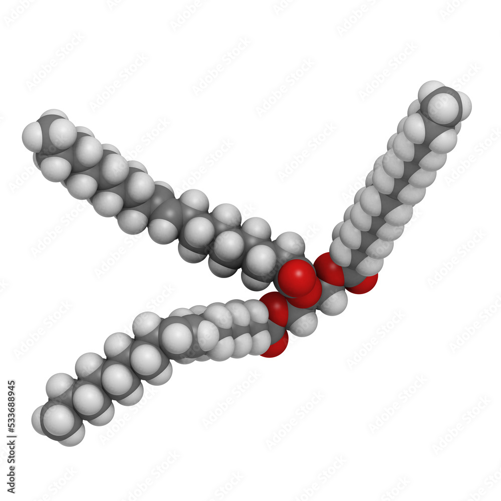 Trans-fat containing triglyceride (elaidyl stearyl oleyl triglyceride), molecular model Trans-fat containing triglyceride (elaidyl stearyl oleyl triglyceride), molecular model