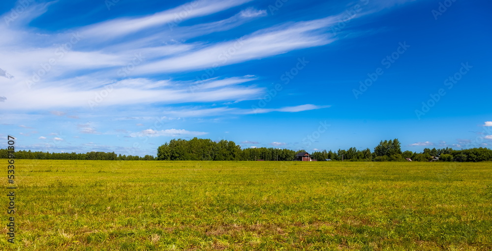 Summer landscape with a field, a strip of forest and a blue sky with white clouds