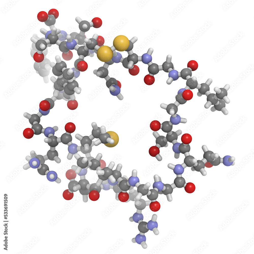 Atrial natriuretic peptide (ANP) or factor (ANF) molecule, chemical structure Atrial natriuretic peptide (ANP) or factor (ANF) molecule, chemical structure