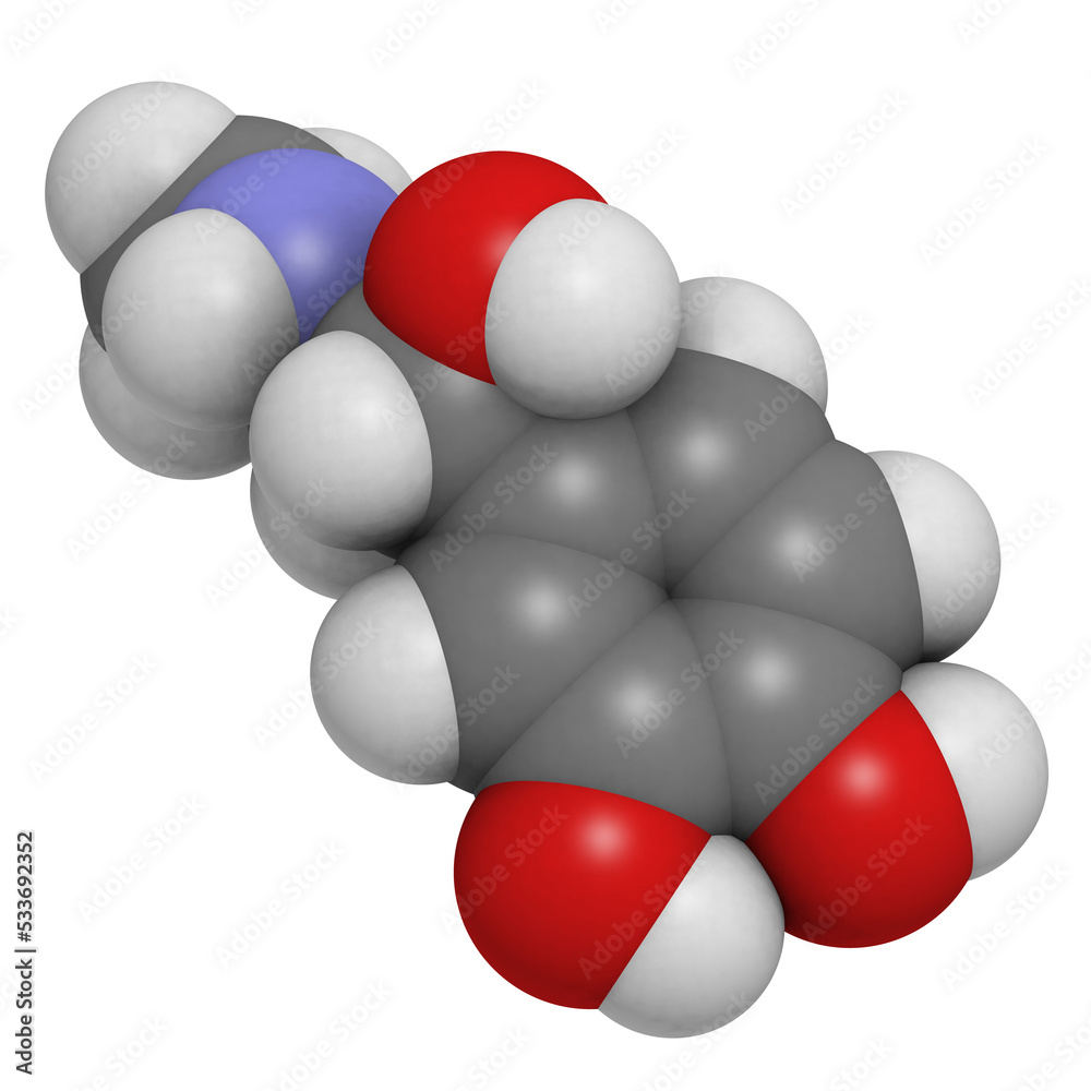 Adrenaline (epinephrine) hormone and neurotransmitter, molecular model. Adrenaline (epinephrine) hormone and neurotransmitter, molecular model.