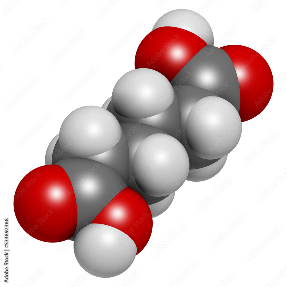Adipic acid nylon building block molecule. Monomer used in production of nylon polyamide polymer. 3D rendering. Adipic acid nylon building block molecule. Monomer used in production of nylon polyamide polymer. 3D rendering.