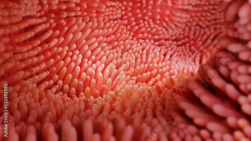 illustration of intestinal microvilli 3d render photo