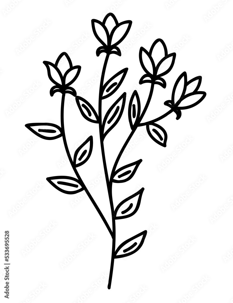 Plant illustration, outline decoration. PNG with transparent background. Plant illustration, outline decoration. PNG with transparent background.