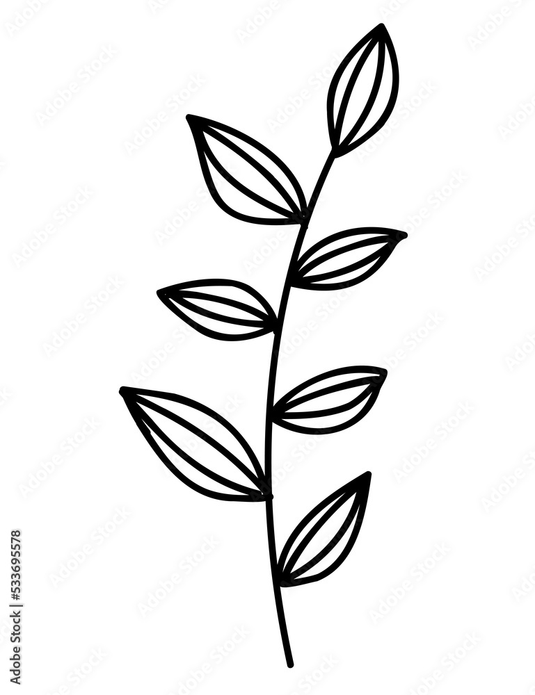 Plant illustration, outline decoration. PNG with transparent background ...