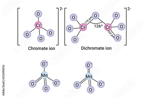 Dichromate ion and Chromate ion.
