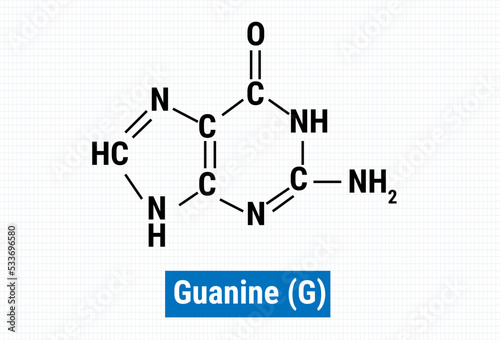 Chemical structure of Guanine (G) photo