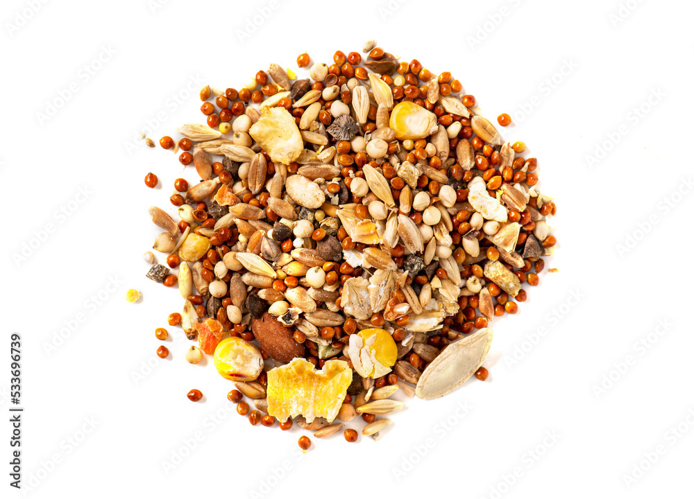 Hamster food isolated on white background. Heap of dry seeds for various rodents. Feed for hamsters and gerbil. Hamster food isolated on white background. Heap of dry seeds for various rodents. Feed for hamsters and gerbil.