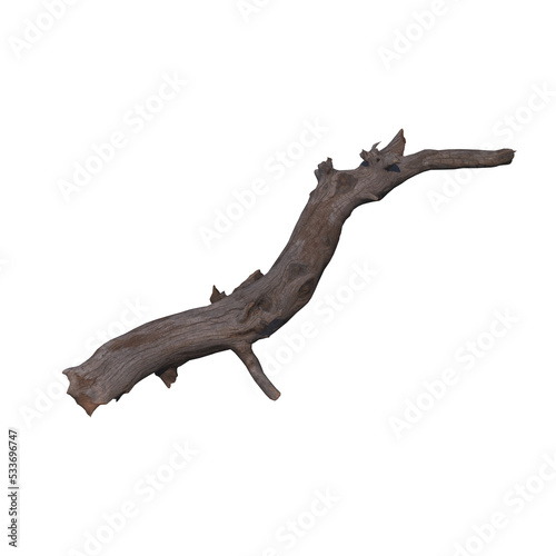 tree trunk isolated