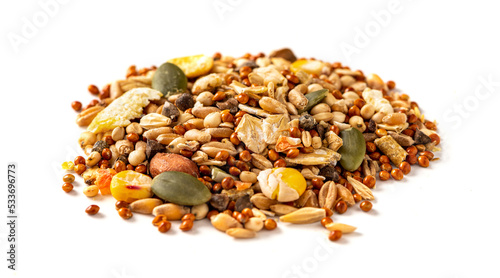 Hamster food isolated on white background. Heap of dry seeds for various rodents. Feed for hamsters and gerbil.