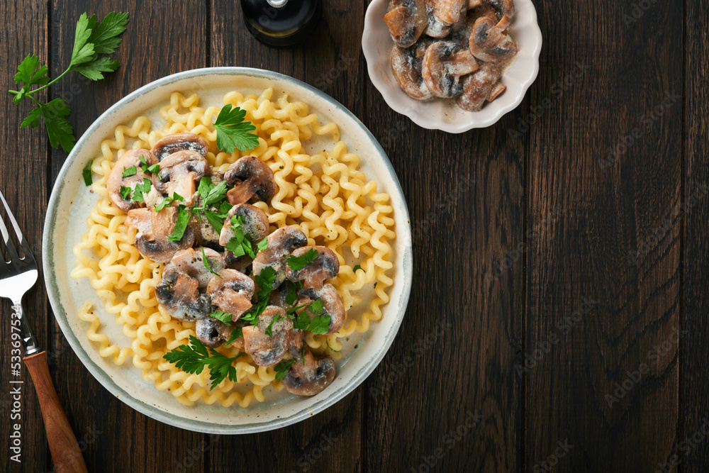 Fusilli pasta with mushrooms, cheese and garlic creamy sauce on plate on old wooden dark table background. Top view. Traditional Italian cuisine. Fusilli pasta with mushrooms, cheese and garlic creamy sauce on plate on old wooden dark table background. Top view. Traditional Italian cuisine.