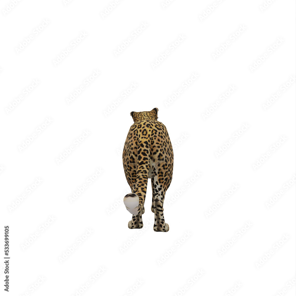 Naklejka premium Cheetah