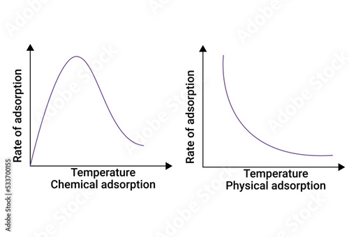 Graph of Temperature Chemical adsorption and Temperature Physical adsorption
