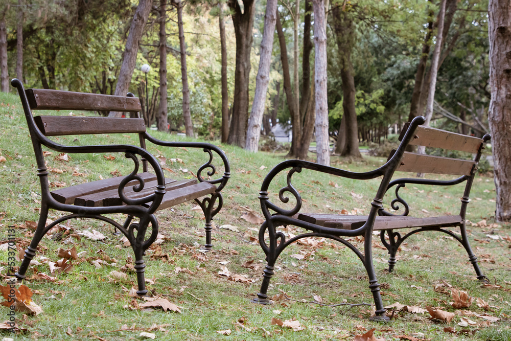 Two wooden benches opposite each other in autumn park