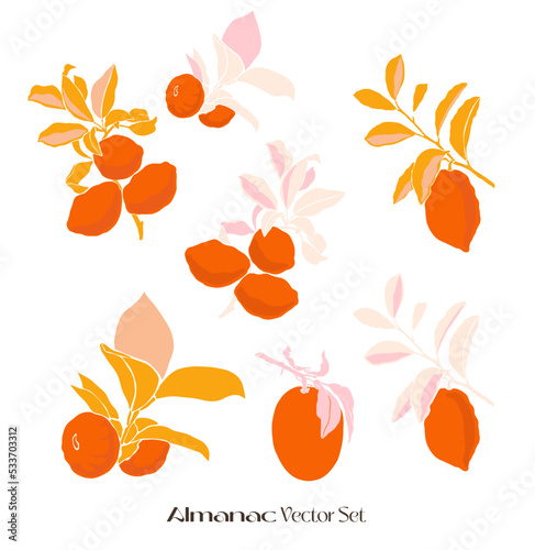 Vector Children's Illustration Friendship Children Girls, Citrus, Children, Bouquets, Flowers, Freak Fruits, Roses, Orange