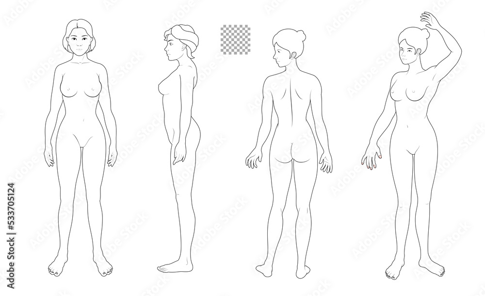Human body full body illustration set transparent background solid line, woman front side back, medical, fashion style