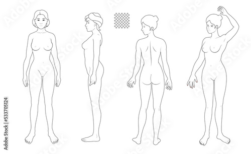 Human body full body illustration set transparent background solid line, woman front side back, medical, fashion style © pil