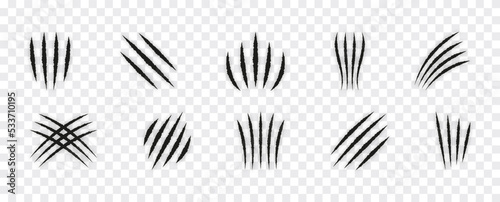 Canvas Print Set Of Claw Scratches And Marks Design By Wild Animals