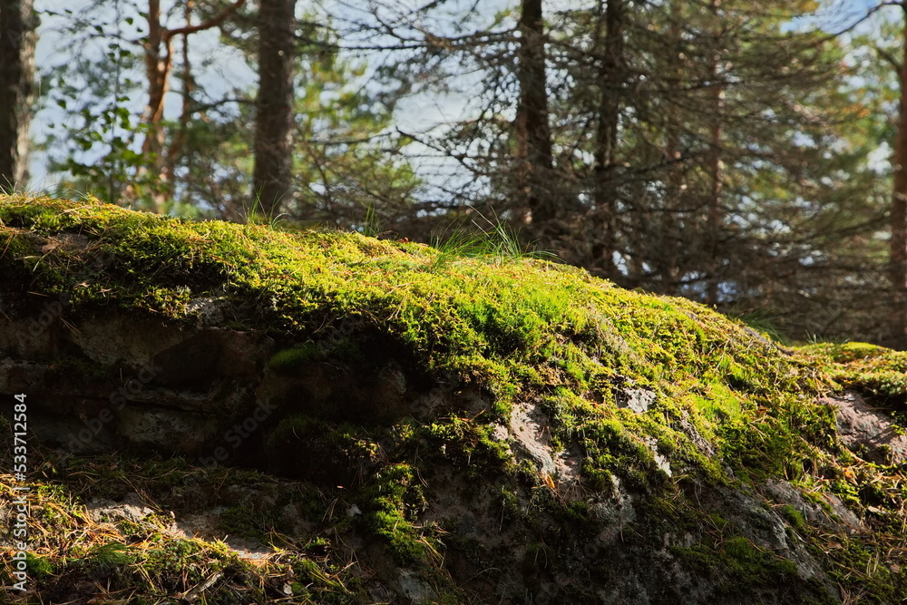 Mossy stones on the top of Mount Hiidenvuori Mossy stones on the top of Mount Hiidenvuori