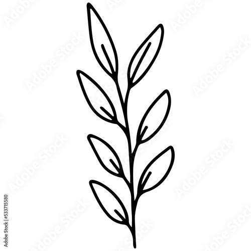 Leaf doodle vector