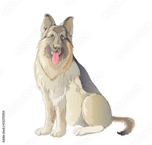 Illustration of shepherd dog. Domestic animals. Hand-drawn vector drawing. Isolated sketch on white background. Print for children book, fabric, fashion, decoration, embroidery, wallpaper.
