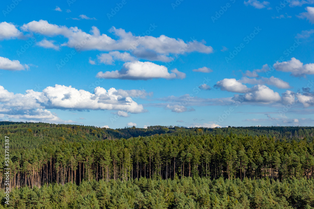 Green coniferous forest and blue sky above it.