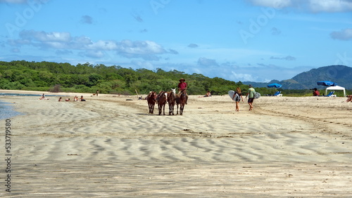 String of tourist horses on the beach in Tamarindo  Costa Rica