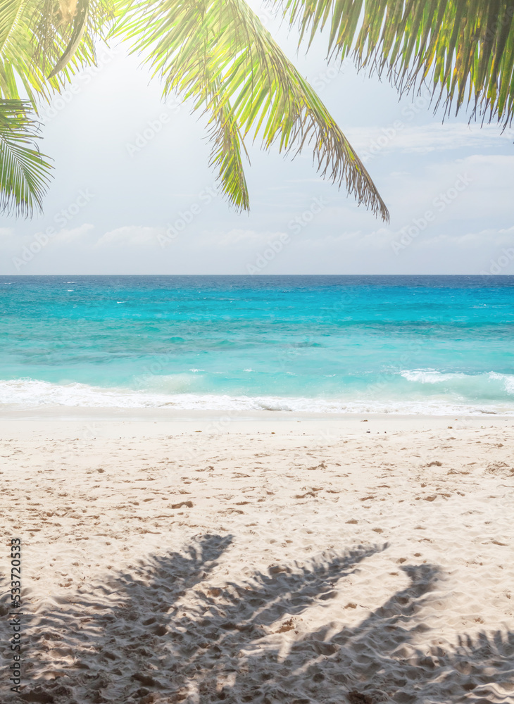 Tropical beach with palm trees Tropical beach with palm trees