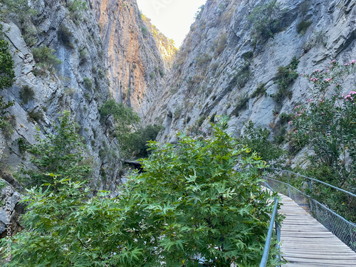 Wooden path in Sapadere Canyon