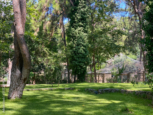 Beautiful vegetation in the zoo in Antalya