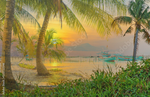 palm trees at sunset in Vietnam 