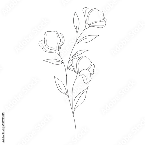 Botanical leaf Wildflower Line art