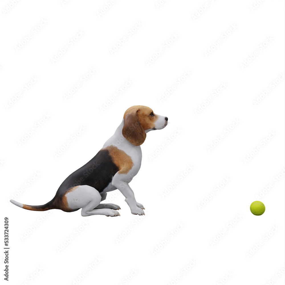 cute dog play with ball