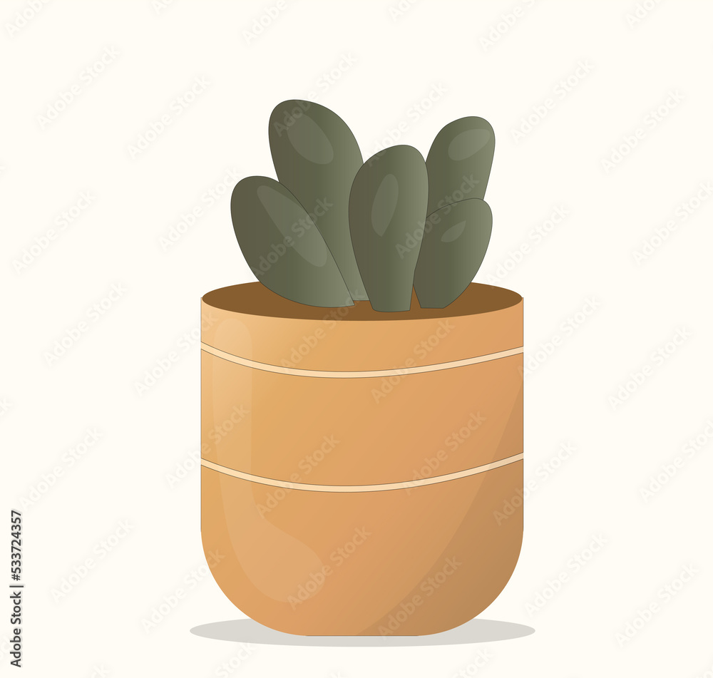 cute little cacti in pots. Plants cute little cacti in pots. Plants