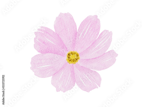 Pink Cosmos Flower Watercolor