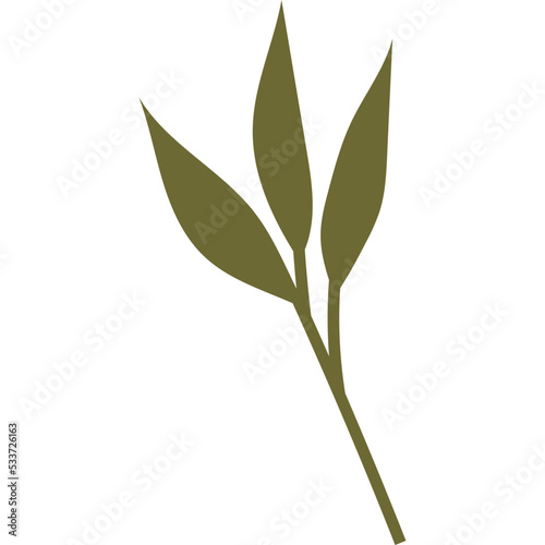 Fototapeta Naklejka Na Ścianę i Meble -  Organic Boho Leaf