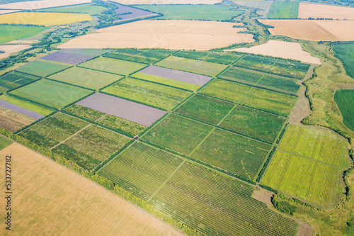 Agriculture fields in countryside in summer day aerial view. Harvest time.