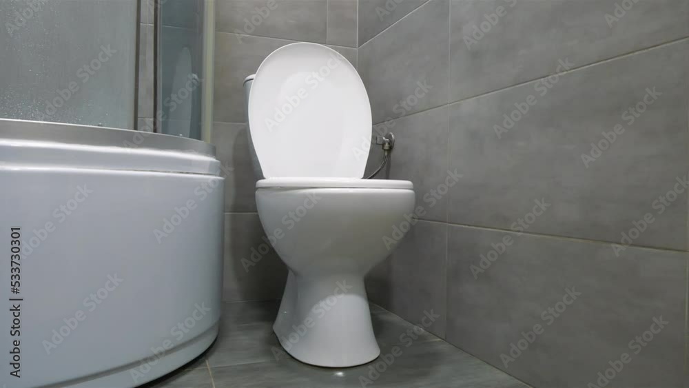 Toilet room interior with white toilet bowl with closed lid, shower cabin and grey wall tiles Toilet room interior with white toilet bowl with closed lid, shower cabin and grey wall tiles