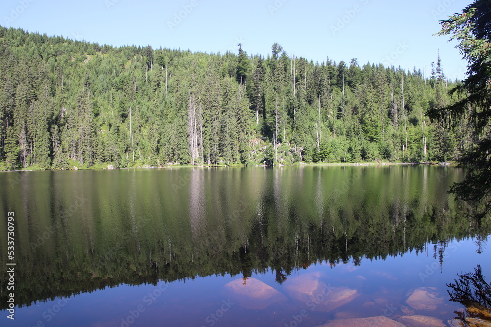A beautiful water surface with reflection of the trees at Prasily lake, Czech republic