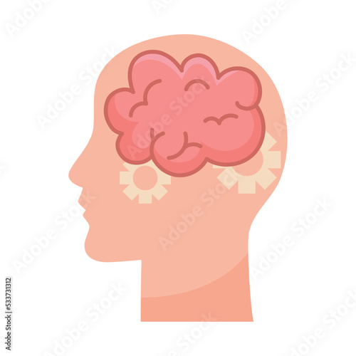 head with brain